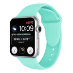 สายรัดนาฬิกาซิลิโคนหมุดคู่ สำหรับ Apple Watch Series 3 & 2 & 1 42 มม. Apple Watch 42 มม.