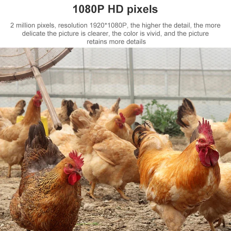 กล้องโดมอัจฉริยะ QX5 ความละเอียด 2 ล้านพิกเซล 1080P HD ซูม 20 เท่า ไร้สาย WiFi รองรับการมองเห็นในที่มืดด้วยอินฟราเรด / ตรวจจับการเคลื่อนไหว / สื่อสารด้วยเสียง / การ์ด TF, ปลั๊ก AU, รุ่น WiFi