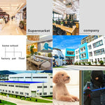 กล้องไฟสวนอัจฉริยะ DP16 2.0 ล้านพิกเซล 42 ดวง LED, รองรับการตรวจจับการเคลื่อนไหว / มองเห็นในที่มืด / สื่อสารด้วยเสียง / การ์ด TF, ปลั๊ก AU, DP16