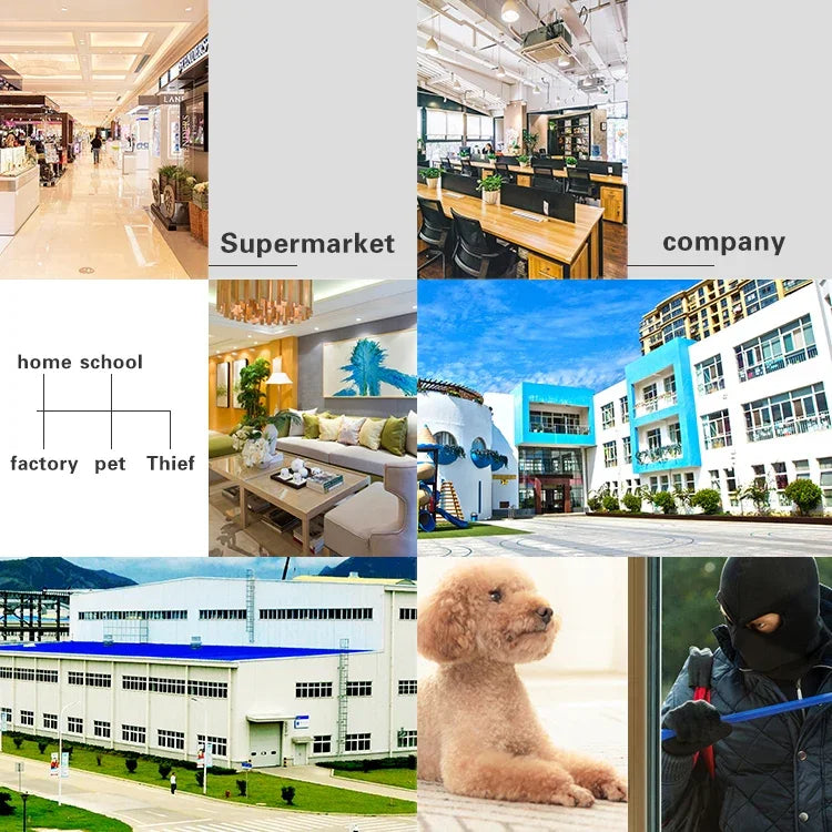 กล้องไฟสวนอัจฉริยะ DP16 2.0 ล้านพิกเซล 42 ดวง LED, รองรับการตรวจจับการเคลื่อนไหว / มองเห็นในที่มืด / สื่อสารด้วยเสียง / การ์ด TF, ปลั๊ก AU, DP16
