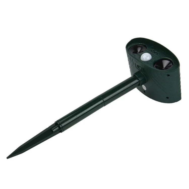 نص بديل للصورة