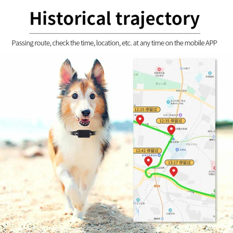 P03 เครื่องติดตาม GPS สัตว์เลี้ยงกันน้ำ 2G GPS+AGPS+WiFi+LBS ตัวระบุตำแหน่ง, P03