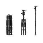 TRIOPO T259G+Q2 ขาตั้งกล้องคาร์บอนไฟเบอร์แบบพกพาปรับได้ พร้อมหัวบอล Q-2 สำหรับกล้อง SLR, T259G+Q2