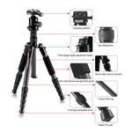 TRIOPO T259G+Q2 ขาตั้งกล้องคาร์บอนไฟเบอร์แบบพกพาปรับได้ พร้อมหัวบอล Q-2 สำหรับกล้อง SLR, T259G+Q2