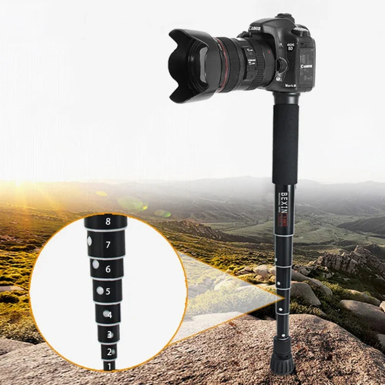 BEXIN P308C ขาตั้งกล้อง DSLR แบบ monopod อะลูมิเนียมอัลลอย สำหรับเดินทางและกลางแจ้ง, P308C