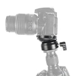BEXIN DY-60N ขาตั้งกล้องมืออาชีพด้ามเกลียว 3/8 นิ้ว ฐานหัวพาโนรามา 360 องศาพร้อมระดับฟองน้ำและอะแดปเตอร์สกรู 3/8 นิ้ว, DY-60N 3/8 นิ้ว