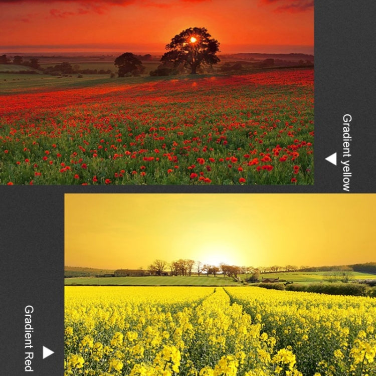 ข้อความอธิบายรูปภาพ