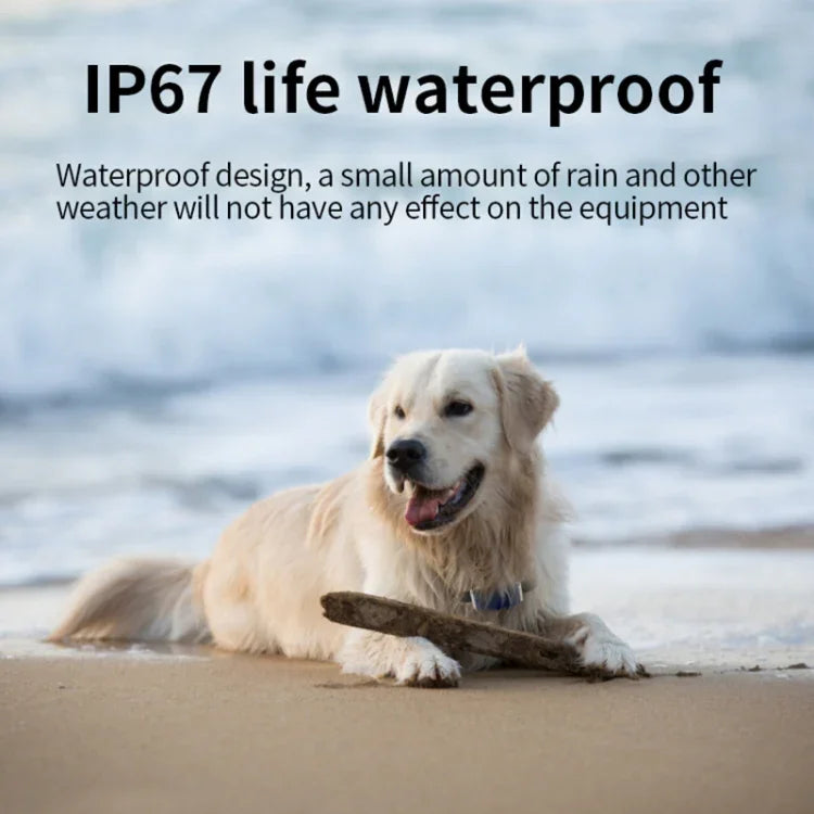 G06 เครื่องติดตาม GPS สัตว์เลี้ยงกันน้ำ IP67 ตัวระบุตำแหน่งสุนัข, G12