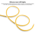 CJ-1206 ไฟเส้น LED นีออนซิลิโคนกันน้ำ IP65 12V 6A 5 เมตร, ปลั๊กสหรัฐอเมริกา