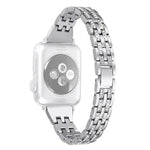 สายข้อมือเพชรอัลลอยด์สองแถว สำหรับ Apple Watch Series 7 41มม. / 6 & SE & 5 & 4 40มม. / 3 & 2 & 1 38มม.