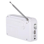 เครื่องเล่นวิทยุ AM/FM สองย่านความถี่พลังงานแสงอาทิตย์ RD-638T พร้อมไฟฉายและฟังก์ชันไดนาโม