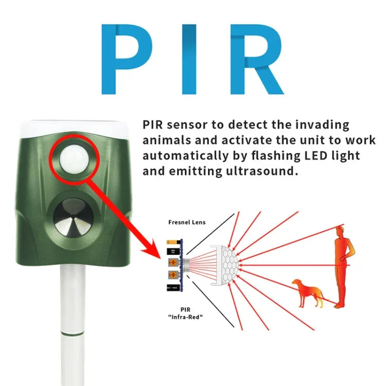 نص بديل للصورة