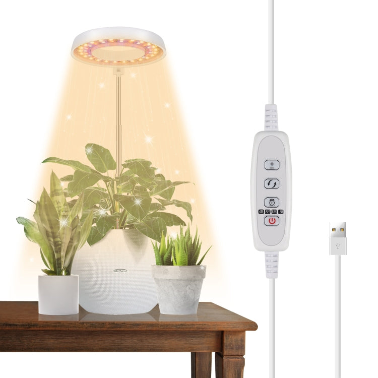 ไฟเติมแสงสำหรับต้นไม้สกุลสับปะรด 10W 48 ดวง LED, แหวนเทวดา, ผึ้ง, ท่อกลม