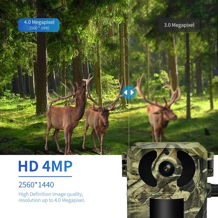 ESCAM QF380 กล้องล่าสัตว์อัจฉริยะเครือข่าย 4MP พร้อมเซ็นเซอร์ PIR พลังงานแสงอาทิตย์ รุ่นยุโรป, รุ่นออสเตรเลีย, รุ่นสหรัฐอเมริกา
