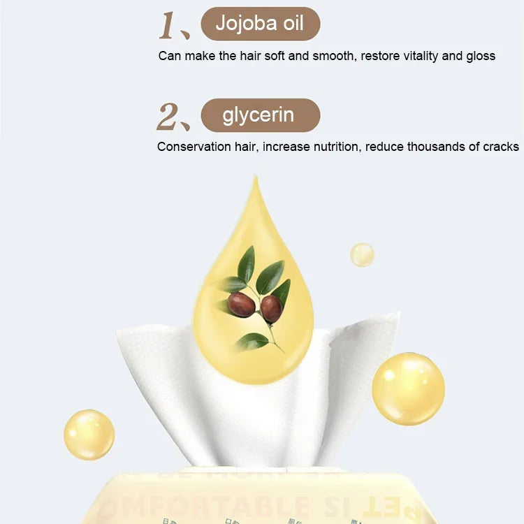 نص بديل للصورة