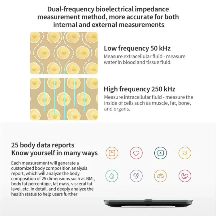 画像代替テキスト