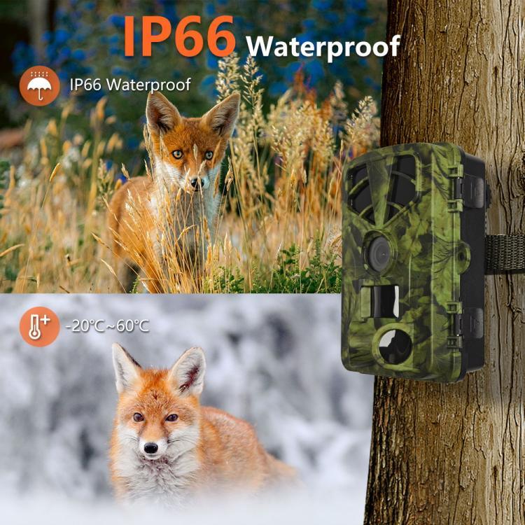 กล้องล่าสัตว์อินฟราเรดเวอร์ชัน WiFi 5K HD กลางคืน PR908W
