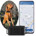 TK919 ปลอกคอสุนัข GPS กันน้ำ IP67 4G