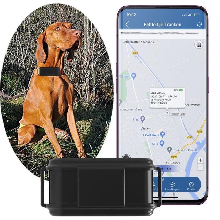 TK919 ปลอกคอสุนัข GPS กันน้ำ IP67 4G