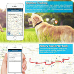 TK919 ปลอกคอสุนัข GPS กันน้ำ IP67 4G