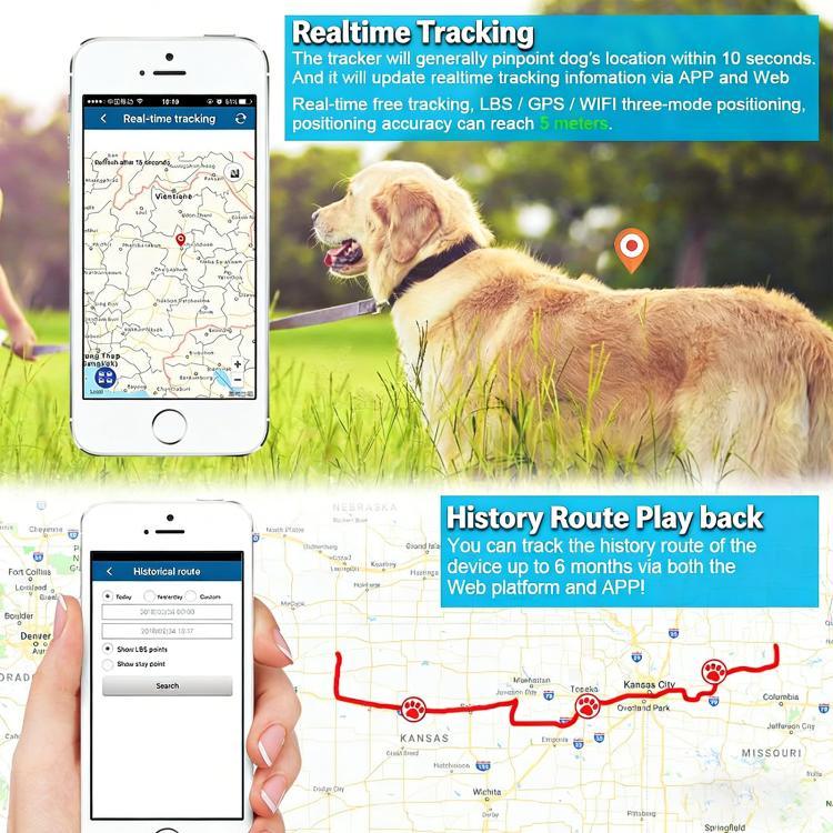 TK919 ปลอกคอสุนัข GPS กันน้ำ IP67 4G