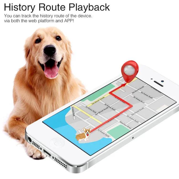 TK919 ปลอกคอสุนัข GPS กันน้ำ IP67 4G