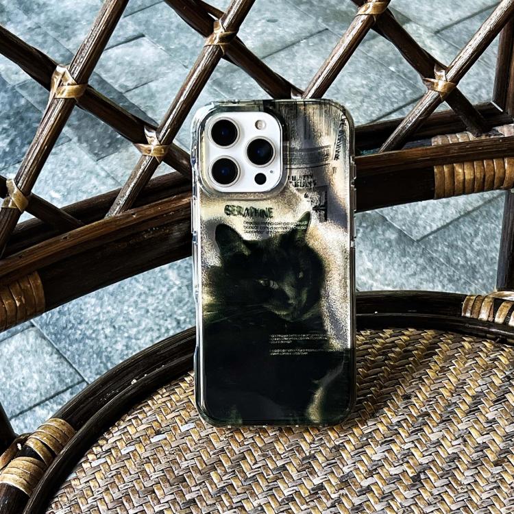 ข้อความอธิบายรูปภาพ