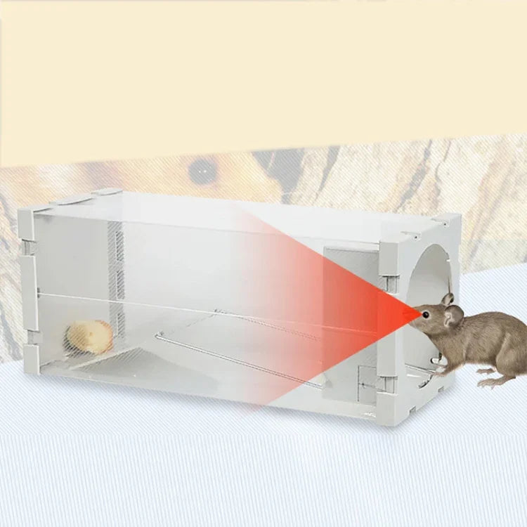 نص بديل للصورة