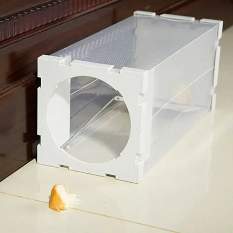 نص بديل للصورة