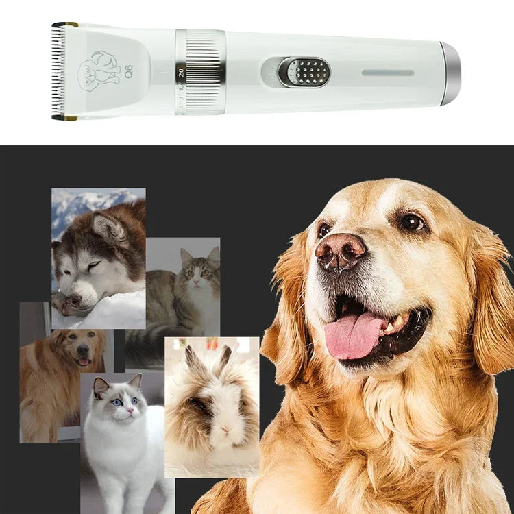 Q6 ماكينة حلاقة كهربائية للحيوانات الأليفة بشحن USB مع أربعة أمشاط، ماكينة حلاقة Q6