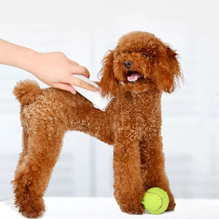 เครื่องโกนขนสัตว์เลี้ยงไฟฟ้าแบบชาร์จไฟได้ Xiaomi Youpin Pawbby รุ่นมืออาชีพ เครื่องตัดแต่งขนสัตว์เลี้ยง Pawbby
