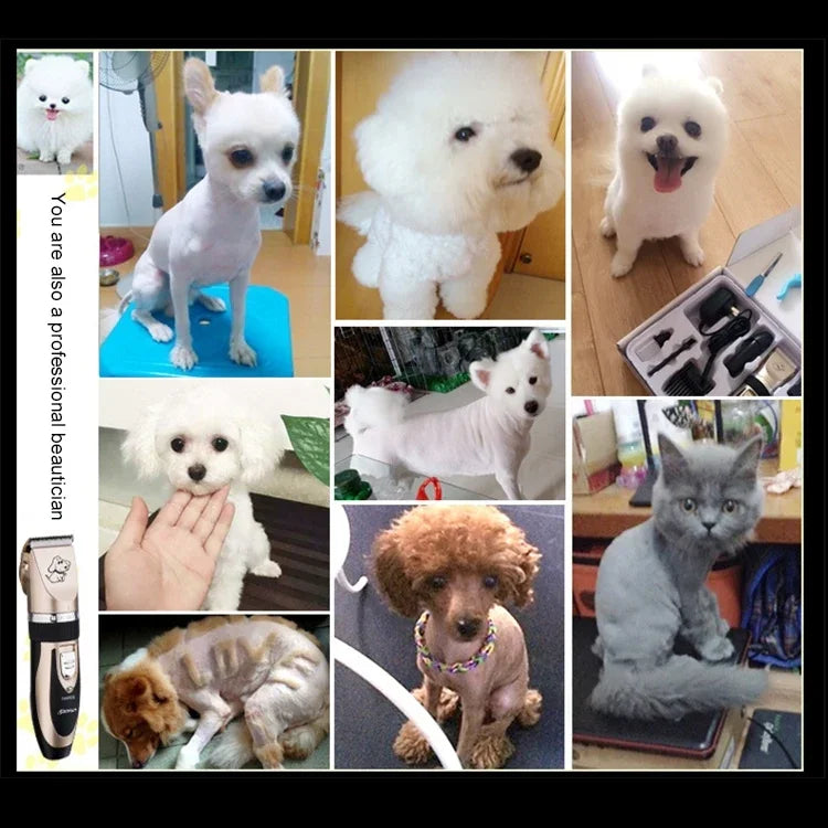P2 110-240V กรรไกรไฟฟ้าเซรามิกไทเทเนียมมืออาชีพสำหรับสัตว์เลี้ยง เครื่องตัดขนสัตว์เลี้ยงพร้อมหวีสี่อัน กรรไกรเซรามิกไทเทเนียม