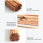 ดินสอไม้ 12 แท่ง สำหรับวาดเขียน สเก็ตช์ ปลาย 2B พร้อมเหลาแล้ว