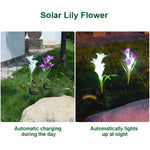 โคมไฟสนามจำลองดอกลิลลี่ 4 หัว พลังงานแสงอาทิตย์ LED กันน้ำ IP55 สีขาว