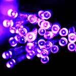 ไฟสายตาข่าย 200 หลอด LED พร้อมข้อต่อปลายสายและตัวควบคุมมัลติฟังก์ชัน แสงวอร์มไวท์ ปลั๊ก EU, แสงน้ำเงิน ปลั๊ก EU, แสงสีสันสดใส ปลั๊ก EU, แสงม่วง ปลั๊ก EU, แสงขาว ปลั๊ก EU
