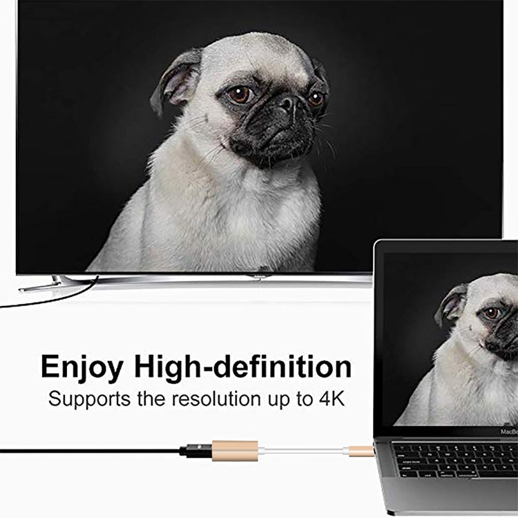 ตัวแปลง USB-C / Type-C 3.1 ตัวผู้เป็น Mini DP ตัวเมีย HD, ความยาว: 12 ซม., สีเงิน, สีทอง