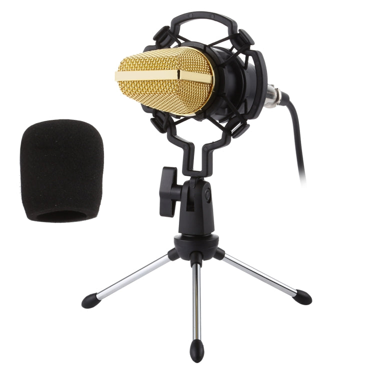 ไมโครโฟนคอนเดนเซอร์มืออาชีพ BM-700 แบบ USB
