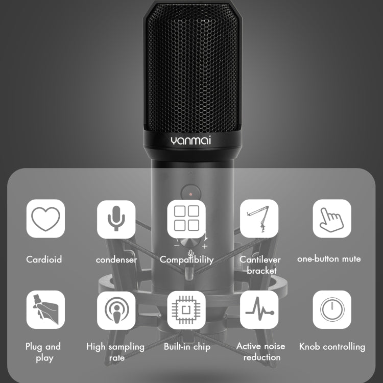 ชุดไมโครโฟนบันทึกเสียง USB Yanmai Q10B, Q10B