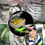เหยื่อกุ้งนุ่มปลอมสำหรับตกปลา 10 ชิ้น ขนาด 4 ซม. พร้อมตะขอ, กุ้งใสพร้อมตะขอ, กุ้งปลอมพร้อมตะขอ, กุ้งเรืองแสงพร้อมตะขอ, กุ้งสีชมพูพร้อมตะขอ, กุ้งสีเขียวพร้อมตะขอ