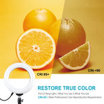 PULUZ ไฟวงแหวน LED RGBW ขนาด 6.2 นิ้ว 16 ซม. พร้อมฐานกลมตั้งโต๊ะ USB ปรับความสว่างได้ สำหรับถ่ายวิดีโอบล็อกเกอร์ พร้อมขาตั้งกล้องแบบ Cold Shoe และรีโมทคอนโทรล, ฐานตั้งโต๊ะ + ไฟ RGBW 6.2 นิ้ว / รีโมทคอนโทรล