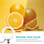 ไฟวงแหวน LED RGBW ปรับความสว่างได้ PULUZ 6.2 นิ้ว 16 ซม. USB 10 โหมด 8 สี สำหรับถ่ายวิดีโอ Vlogging พร้อมขาตั้งกล้องหัวบอล, 6.2 นิ้ว RGBW