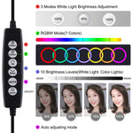 ไฟวงแหวน LED RGBW ปรับความสว่างได้ PULUZ 10.2 นิ้ว 26 ซม. USB 10 โหมด 8 สี สำหรับถ่ายวิดีโอ Vlogging พร้อมขาตั้งกล้องหัวบอล, Cold Shoe และที่หนีบโทรศัพท์, 10.2 นิ้ว RGBW