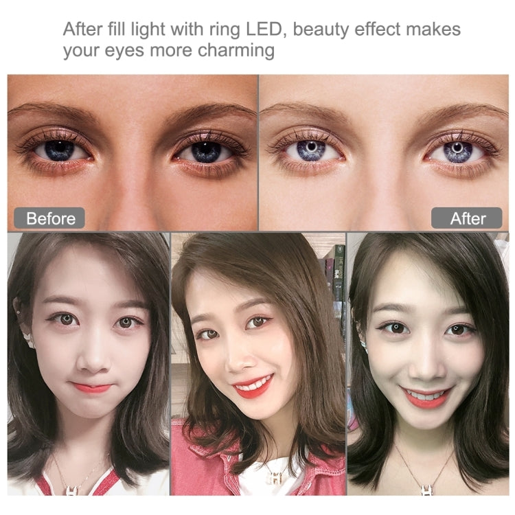 ไฟวงแหวน LED RGBW ปรับความสว่างได้ PULUZ 10.2 นิ้ว 26 ซม. USB ผิวโค้ง 10 โหมด 8 สี สำหรับถ่ายวิดีโอ Vlogging พร้อมขาตั้งกล้องหัวบอล, รีโมท และที่หนีบโทรศัพท์, 10.2 นิ้ว RGBW