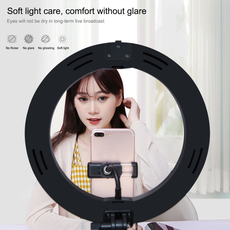 PULUZ ไฟวงแหวน LED โค้ง 10.2 นิ้ว 26 ซม. USB 3 โหมด ปรับความสว่างได้ สีไฟสองโทน พร้อมรีโมทบลูทูธ ขาตั้งโต๊ะพับได้ และที่หนีบโทรศัพท์ สำหรับถ่ายวิดีโอเซลฟี่และวล็อก