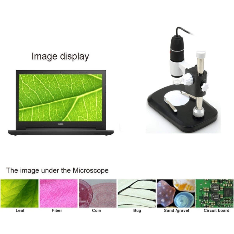 กล้องจุลทรรศน์ดิจิทัล DMS-MDS800 40X-800X พร้อมเซ็นเซอร์ภาพ 2.0MP USB มีไฟ LED 8 ดวงและขาตั้งมืออาชีพ, 40X-800X