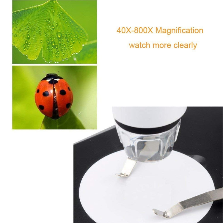 กล้องจุลทรรศน์ดิจิทัล DMS-MDS800 40X-800X พร้อมเซ็นเซอร์ภาพ 2.0MP USB มีไฟ LED 8 ดวงและขาตั้งมืออาชีพ, 40X-800X