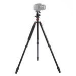 ขาตั้งกล้องอลูมิเนียมแบบพกพาปรับได้ Triopo MT-2504C พร้อมหัวบอล NB-1S สำหรับกล้อง DSLR Canon Nikon Sony, MT-2504C (สีดำ), MT-2504C (สีทอง)