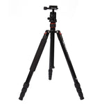 ขาตั้งกล้องอลูมิเนียมแบบพกพาปรับได้ Triopo MT-2504C พร้อมหัวบอล NB-1S สำหรับกล้อง DSLR Canon Nikon Sony, MT-2504C (สีดำ), MT-2504C (สีทอง)