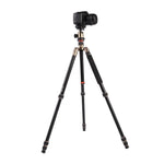 ขาตั้งกล้องอลูมิเนียมแบบพกพาปรับได้ Triopo MT-2504C พร้อมหัวบอล NB-1S สำหรับกล้อง DSLR Canon Nikon Sony, MT-2504C (สีดำ), MT-2504C (สีทอง)