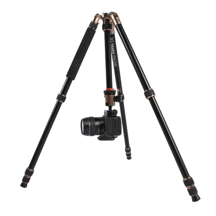 ขาตั้งกล้องอลูมิเนียมแบบพกพาปรับได้ Triopo MT-2504C พร้อมหัวบอล NB-1S สำหรับกล้อง DSLR Canon Nikon Sony, MT-2504C (สีดำ), MT-2504C (สีทอง)